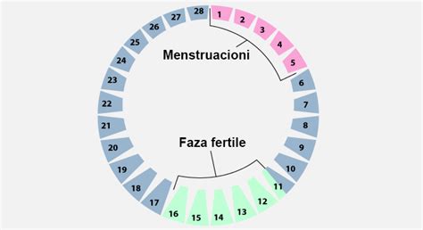 Është një fenomen i quajtur "zmadhim para <b>ciklit</b> menstrual" në të cilin një sëmundje (si dibaeti, depresioni dhe artriti) mund të përkeqësohet edhe më shumë para <b>ciklit</b> menstrual, dhe kjo falë hormoneve. . Ngjyra e kaft e ciklit